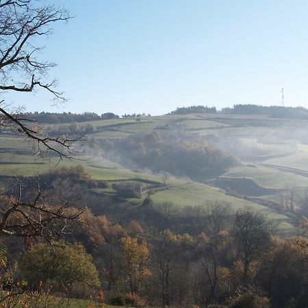 Gites Le Chêne&Le Tilleul Saint-Romain-de-Lerps Extérieur photo