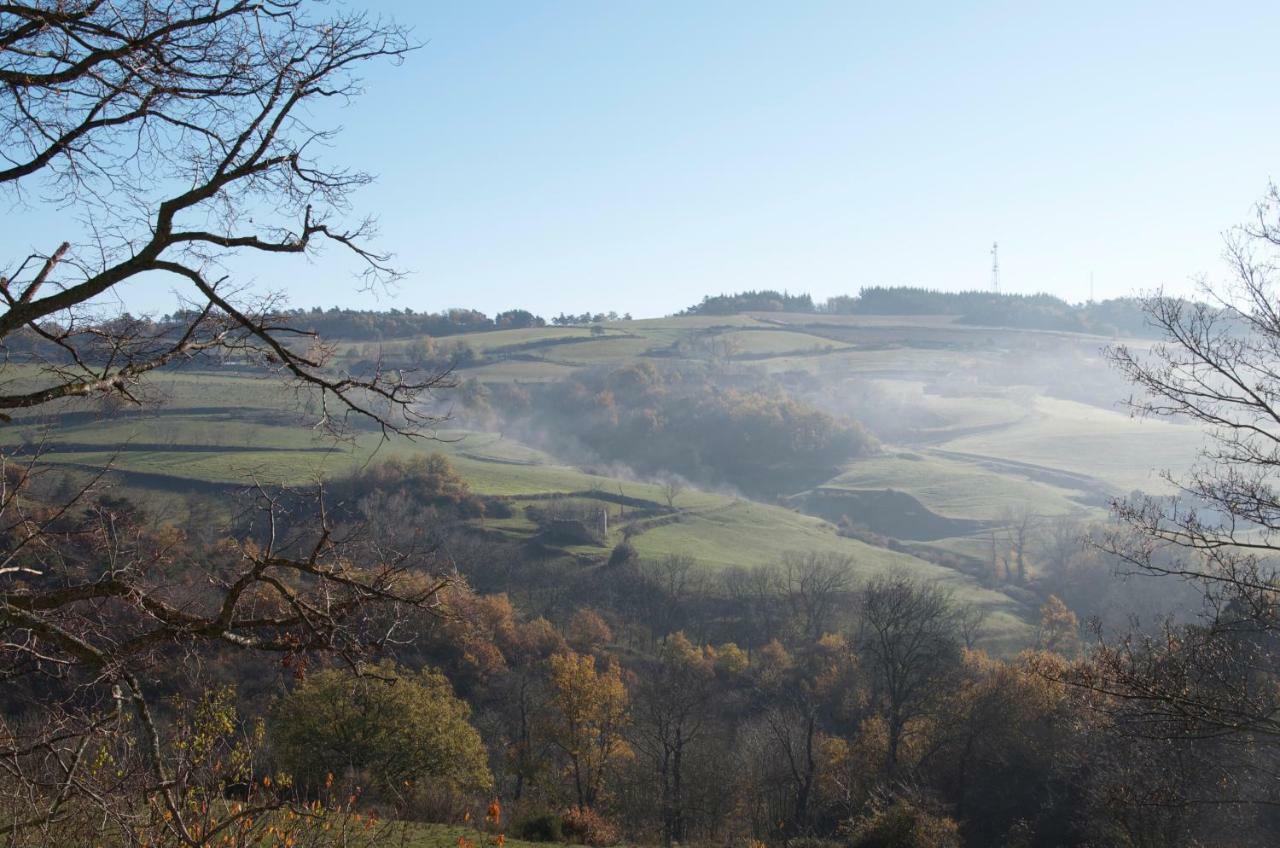 Gites Le Chêne&Le Tilleul Saint-Romain-de-Lerps Extérieur photo